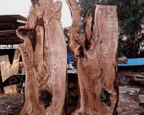 Экзотическая древесина Каштан 2300 купить в интернет-магазине